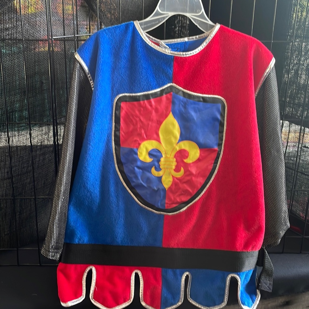 Melissa and Doug deluxe knight costume. Cute for sibling or family.
